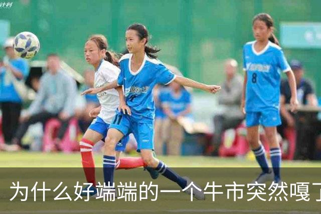 为什么好端端的一个牛市突然嘎了？走成这样子？
