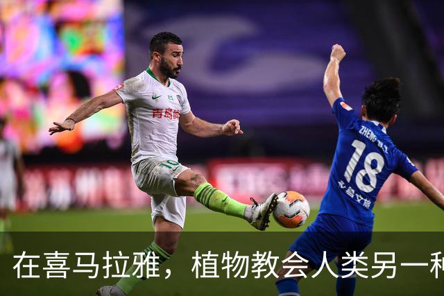 在喜马拉雅，植物教会人类另一种活法