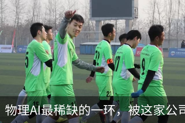 物理AI最稀缺的一环，被这家公司押中