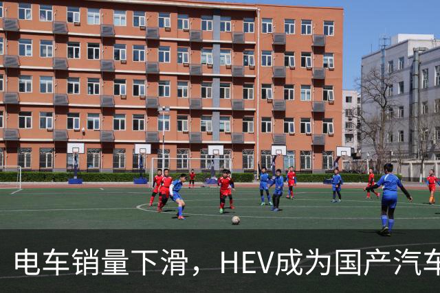 电车销量下滑，HEV成为国产汽车增长发动机，继续挑战丰田