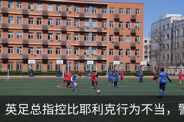 英足总指控比耶利克行为不当，警方调查已终结